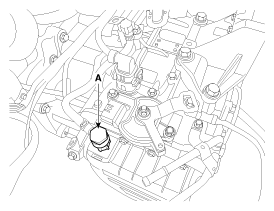 G11953394