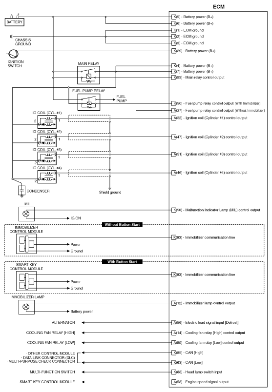 G11955474