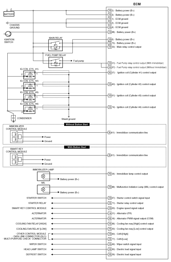 G11955478