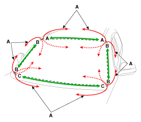 G12034835