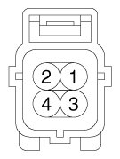 G12055392