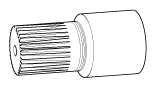 G12066062