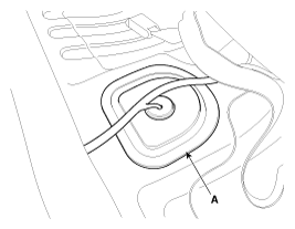 G12066396
