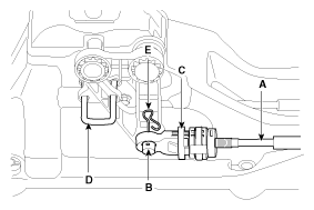 G12129565