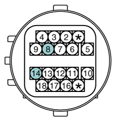G12145934