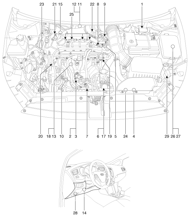 G12161312