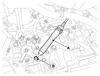G12163293