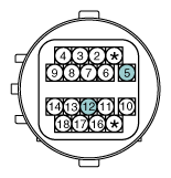 G12274825