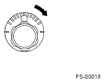 G12513053