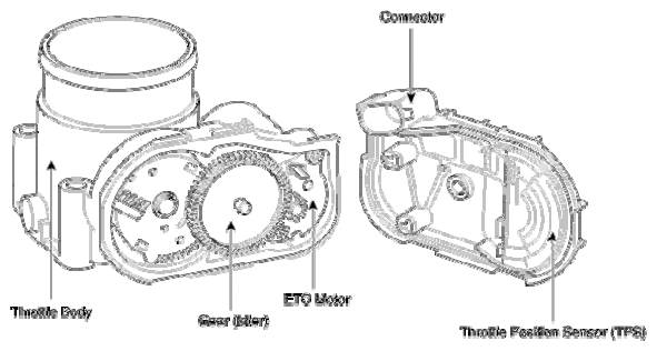 G12792245
