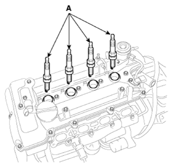 G12915261