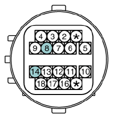 G12932971