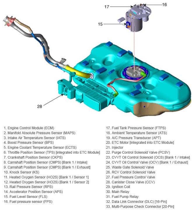 G12971816