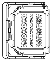 G12974382