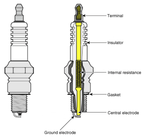 G12980721