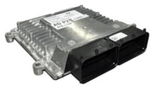 G13035260
