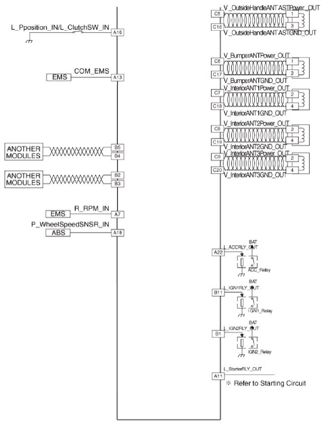 G13035594