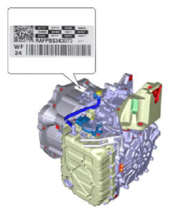 G13037166