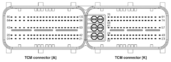 G13037333