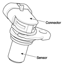 G13039443