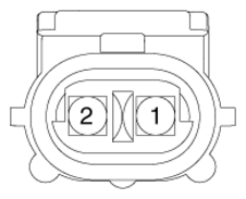 G13039452