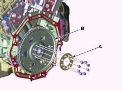 G13043619