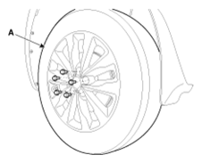 G13044772