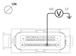 G13053560