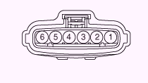 G13055521