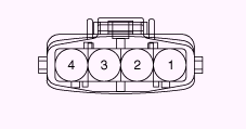 G13055530
