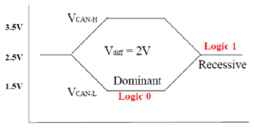 G13065152