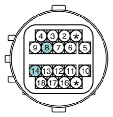 G13077834