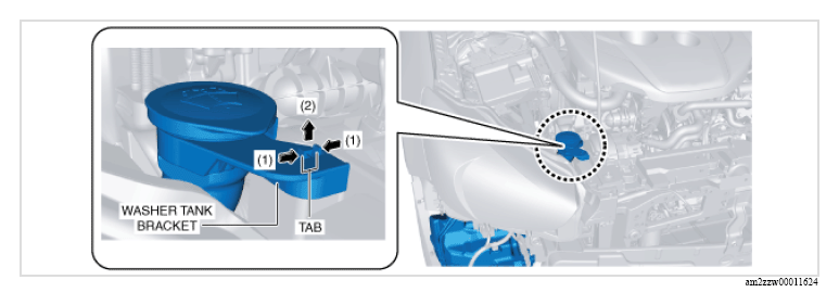G13153161