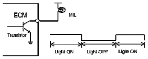 G13155678