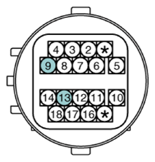 G13155937
