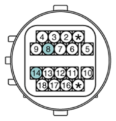 G13155955