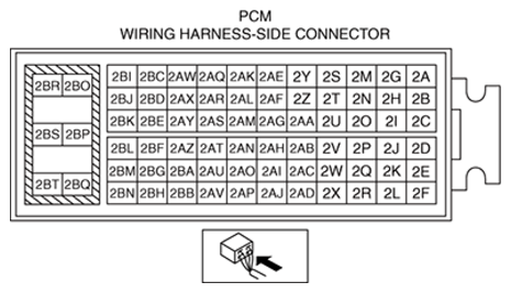 G13174007