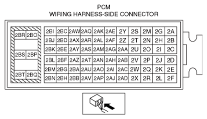 G13174050