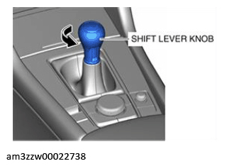 G13176471