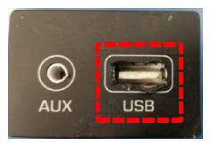 G13257061
