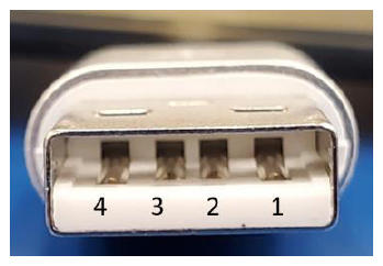 G13257068