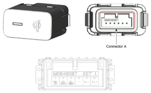 G13282424