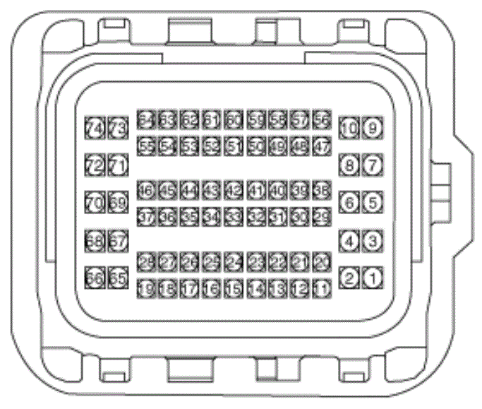 G13310229