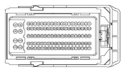 G13342694