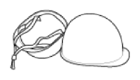 G13361620