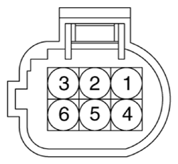 G13361784