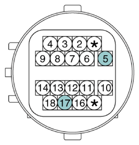 G13362065