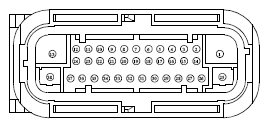 G13379278