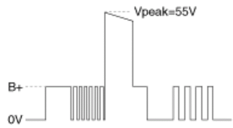 G13388031