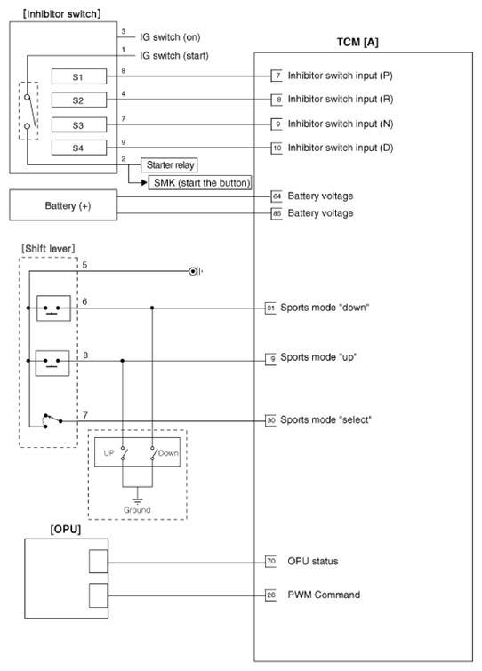 G13388265